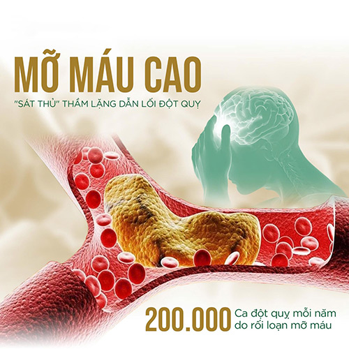 mỡ máu cao và biến chứng đột quỵ