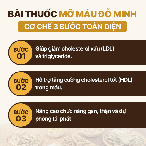 Cơ chế 3 bước mỡ máu Đỗ Minh Đường
