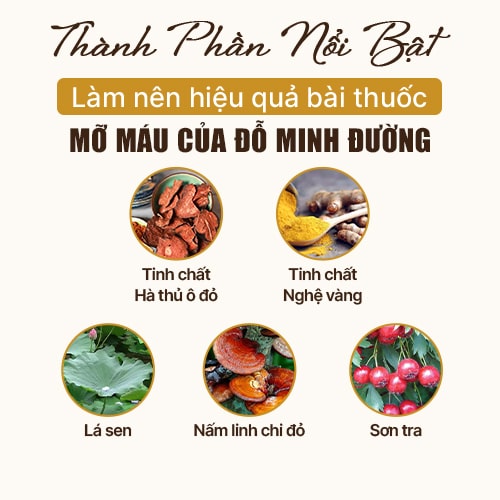 Thành phần bài thuốc Mỡ máu Đỗ Minh
