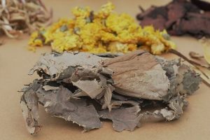 Thuốc mỡ máu Đỗ Minh Đường